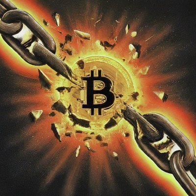 Sitting_On_Sats's profile picture. We vote with our money; so if we are to be a free society, nobody should be able to control it. Bitcoin