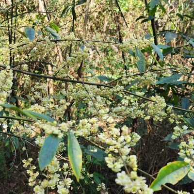 yzir25174's profile picture. 