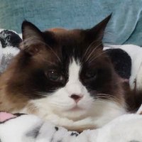 M Peters (@mpeters1151928) 's Twitter Profile