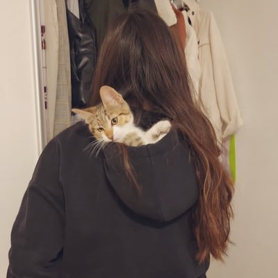 solanadzz's profile picture. Uso Twitter como si fuera mi podcast. Básicamente, vengo a ventilar de forma exagerada. La antítesis de mi Instagram