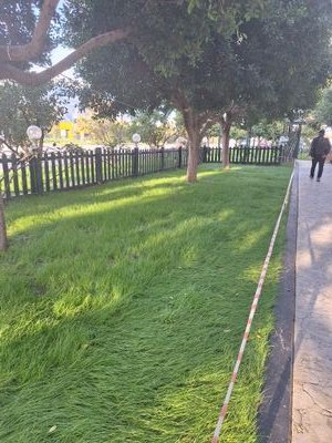 mustafa821963's profile picture. sakarya serdivan birensiplerim gizlilik güven temiz ve turus bir insan  masaj yapılır evli ciftlere üçüncü olurum her türlü fantazi var