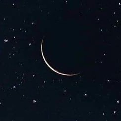 ysisoyesto's profile picture. mis traumas, mis chistes