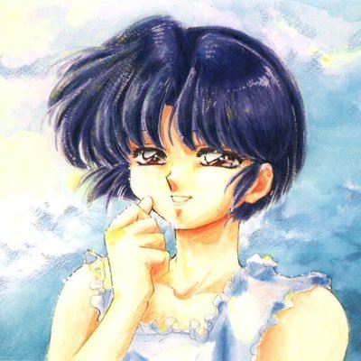 I’m Akane Tendo, one of the heirs to the anything goes school for martial arts. I DON’T LIKE RANMA!