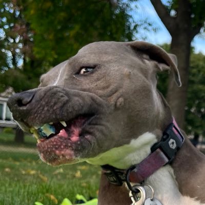 mcatherine33's profile picture. she/her 🌈 loose morals - views are my own - #freepalestine