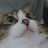 J4rddZIN (@imj4rdd) 's Twitter Profile