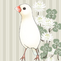 ととりとわ𓅪 (@balmk2) 's Twitter Profile Photo