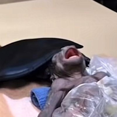 a19malvern's profile picture. 