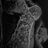 xoxoxoKas's profile image