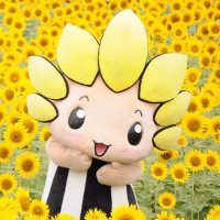 ざまりん【公式】 (@zamarinofficial) 's Twitter Profile Photo ざまりん【公式】 (@zamarinofficial) 's Twitter Profile Photo