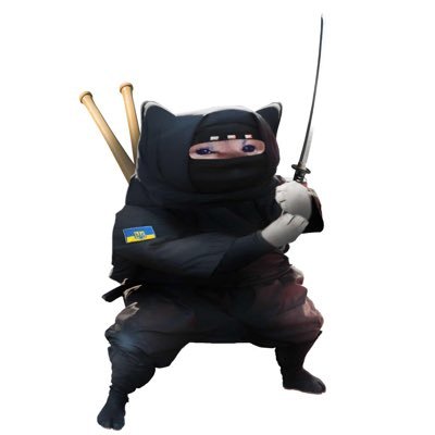 Ninjadronesuk Profile Picture