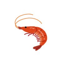 お塩 (@ebisen_0526) Twitter profile photo