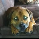 Starr Stevens - @starrstevens9 - Twitter