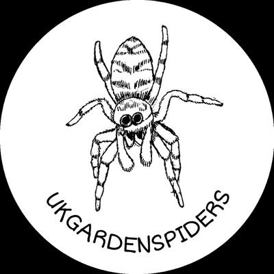 UKgardenspiders Profile Picture