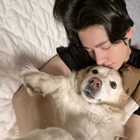 포푸 (@021115luv) 's Twitter Profile