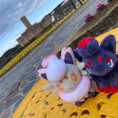 いーがおさんのプロフィール画像