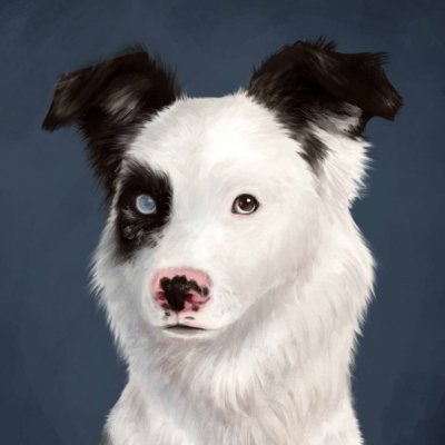 nikavouge's profile picture. Ukrainian artist | #украрт | instagram: @nikanikol_ancole