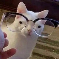 Ren (@ren_euph2) 's Twitter Profile