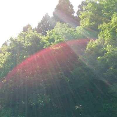 SENDING LOVE🌸insight grateful🏞️🌬️💞💆２０日は宇宙３年💗さんのプロフィール画像
