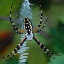 Edgar Allan - @Edgar_Allan1 - Twitter