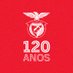 SL Benfica (@SLBenfica) Twitter profile photo