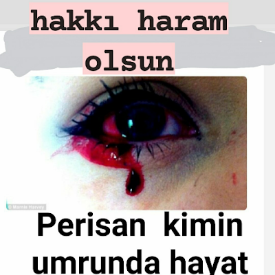 HalilCan118690's profile picture. 
