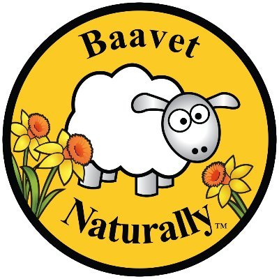 Baavet Profile Picture
