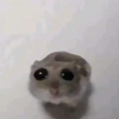 LSG_SOO's profile picture. LoveSickGirl •
#T1WIN CMON •
KERIA THE GOAT SUPPORT