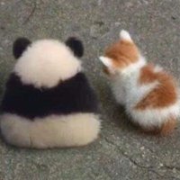 seniora burden (@urfavsnflwer) Twitter profile photo