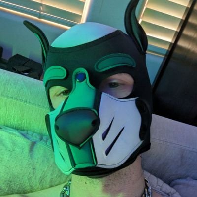 pups get instant follow backs and shout-outs #representation
bark
let's make content and then go to group therapy together