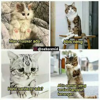 pra38777's profile picture. Hope life can be my closest friend,because i am lonely