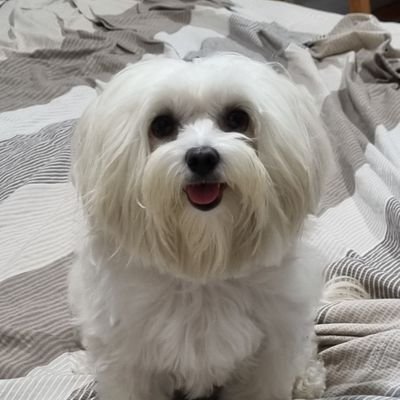 Calvin72721762's profile picture.