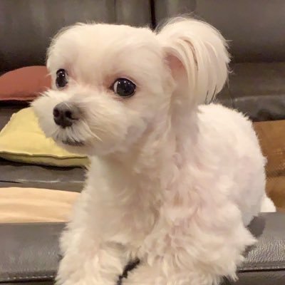 mozuku_bunbun's profile picture. 食欲の備忘録