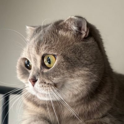 comichamburger's profile picture. 