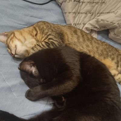 mOoWpa4R3a54002's profile picture. 愛媛Ｙかさん→Hかさん→Rりさん→Mよさん→Aきです