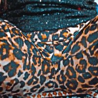 محمد الفحل (@hsbbsjsbb6) 's Twitter Profile