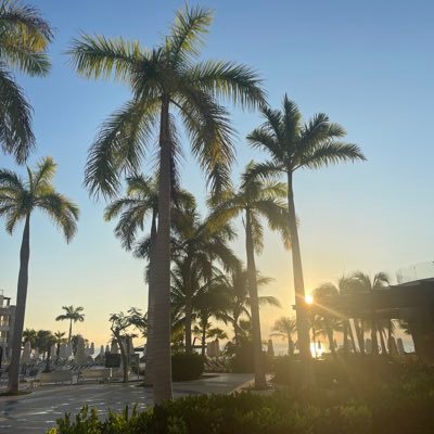 racheli89133083's profile picture. 