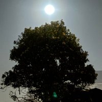 Tracy (@tgood_13) 's Twitter Profile