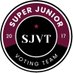 SJ Voting Team (@SUJU_VotingTeam) Twitter profile photo