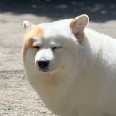 YouTubeで日常を配信してます。noteでコラムや小説も書いてます。先生あのね大賞受賞。映画1000本達成。将棋8級。50キロ走破経験有り。ちょっとした手相なら鑑定できます。既婚/トレカ /ゲーム/アニメ/映画/パチスロ/競馬/競輪/競艇/エコ/パワースポット/占い