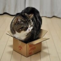 McLOLcat (@mclolcat) 's Twitter Profile Photo McLOLcat (@mclolcat) 's Twitter Profile Photo