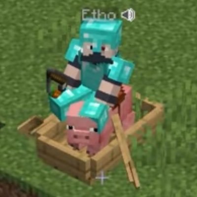 nuggiebug♥︎🚦🐢 | 🌨️🦊 Profile