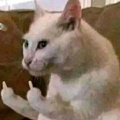 lalolayt46's profile picture. 