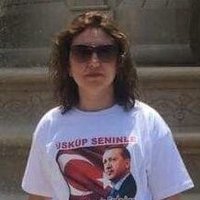 Cemile Diktaş(@cemile_diktas) 's Twitter Profileg
