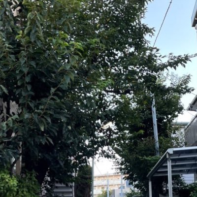 再 作り直し 女性 雑記帳とか 避難所 ASD 日記　アニメ好き