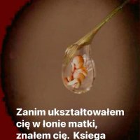 Sławek F (@slawomirfs) 's Twitter Profile Photo Sławek F (@slawomirfs) 's Twitter Profile Photo