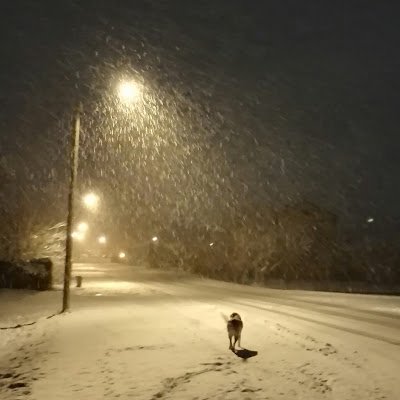 AGoeudever99338's profile picture. Hetero cis d'ultra giga droite de la mort qui tue.
Attention ça fait peur!