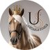 Blake / Unstable Stable (@UnstableStable_) Twitter profile photo