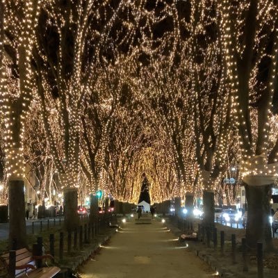 yusa_110's profile picture. WUG 
いろんな曲が好きです
たまになうぷれがめちゃ流れます