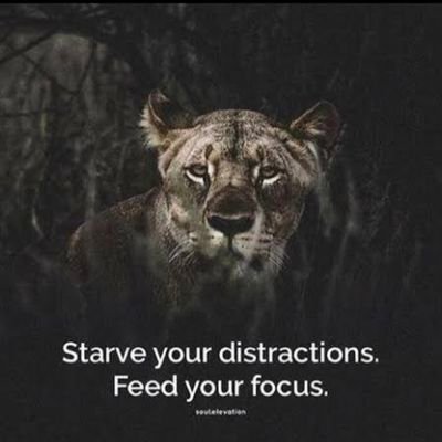 2024: kill with kindness🇦🇺 🇳🇱
mRNA jab free, opinions are my own. I prefer dangerous freedom over peaceful slavery. John 3:20 
#ClimateScam #CovidInjuries