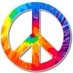 Joe Shimm (@jshimmy) Twitter profile photo Joe Shimm (@jshimmy) Twitter profile photo